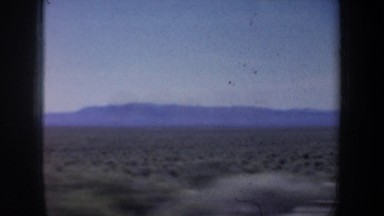 1957: a lone tree among some brush with a mountain in the background OREGON