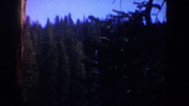 1957: close-up of trees in a canyon with snow on the ground OREGON