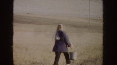 1955: a group of people chase after horses while carrying buckets in a large