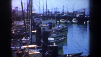 1957: boats of many choices; rental slips for your boat or look for your next