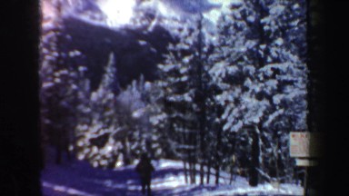 1962: Skiing Down a Narrow Slope with Trees on Either Side, New Hampshire