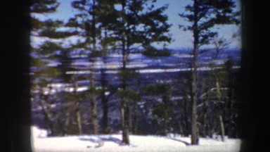 1962: snowy nature scene of lonely trees. VERMONT