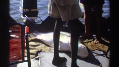 1969: Men on a Boat Fishing or Migrating in Nigeria