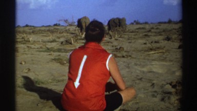 1969: person sitting down watching a pair of elephants in the desert eating