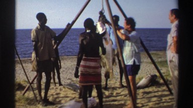 1969: fishermen weighing the day's catch NIGERIA