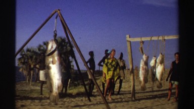 1969: people selling fish in a small village fish market NIGERIA