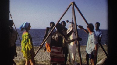1969: group of people overseeing a large fish being hung from a wooden structure