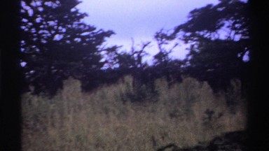 1969: panorama of a savanna NIGERIA