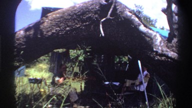 1969: large tree shelters couple under tent. NIGERIA