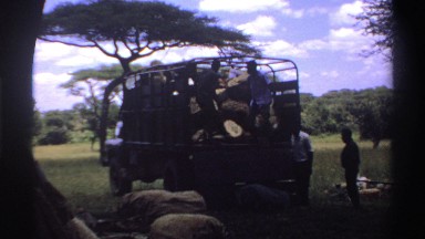 1969: four men unloading a truck filled with hay and other supplies NIGERIA