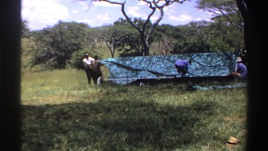 1969: people building a tent outside. NIGERIA