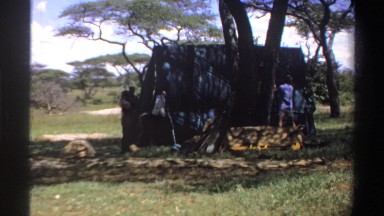 1969: people place the tent,around the forest NIGERIA