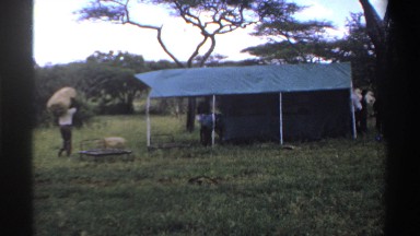 1969: workers done their job in forest for making camp on it NIGERIA