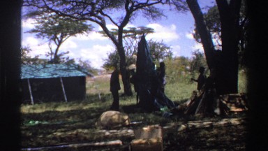 1969: Men Erecting Tent in the Shade Nigeria