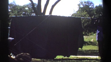 1969: two workers enclosing an area around the base of a barren tree. NIGERIA