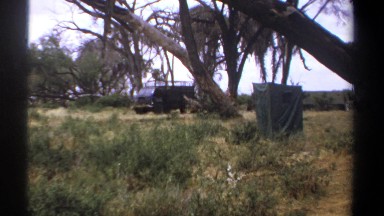 1969: Gray Jeep and Black Truck Parked by Large Trees in Flat Grassland by