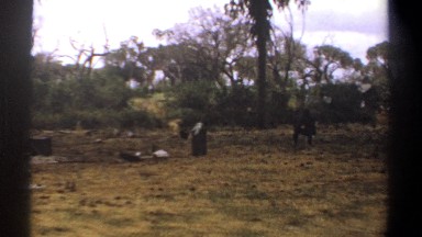 1969: A Lonely Man in Forest Kenya