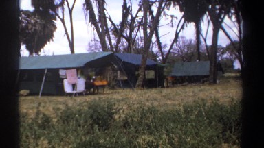 1969: Several Tents Set Up in a Forest with Clear Sky and Brush Kenya