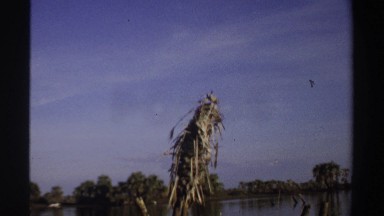 1969: traveling in a south american river SUDAN