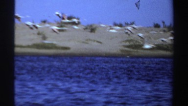 1969: flamingoes flying away from the body of water SUDAN