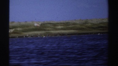 1969: flamingoes flying away from a lake. SUDAN