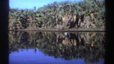 1969: A White Bird Drinking Water from a Lake in Sudan