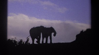 1969: two elephants on a hill top KENYA