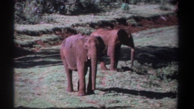 1969: rest at our home KENYA
