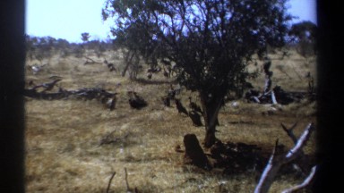 1969: the word less meeting KENYA