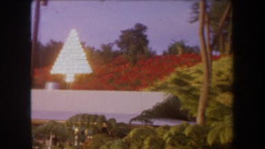 1969: around the bushes HAWAII