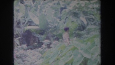 1969: little boy walking through the jungle into a town HAWAII
