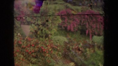 1969: smiling boy in a yard, cutting to a panorama of a flower garden HAWAII