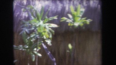 1969: the view of a tropical paradise HAWAII