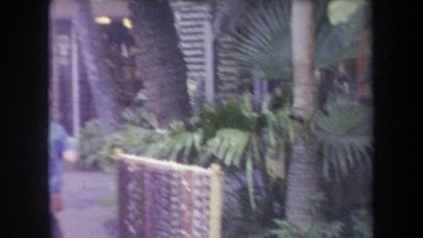 1969: People in an Asian Park Hawaii