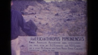 1958: american thropus pekinensis ARIZONA