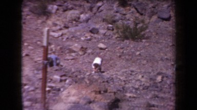 1958: Fossil Hunting on a Rocky Hillside in Arizona