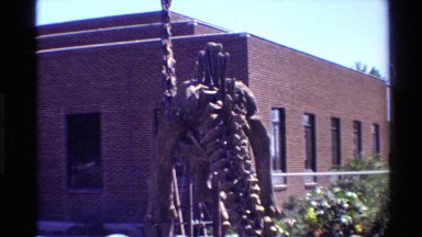 1980: Several Shots of a Dinosaur Fossil in Western USA