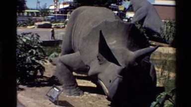 1980: A Plaque Describing a Triceratops Statue in the Western USA