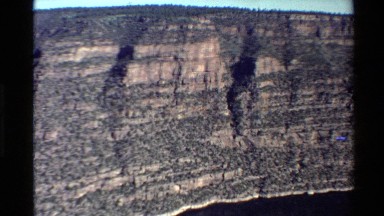 1980: The Lone Tree on a Mountain in the Western USA