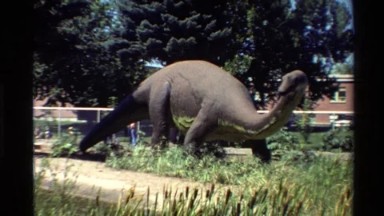 1980: The Animal Without Movement in Western USA Park