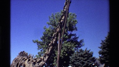 1980: replica of a sauropod skeleton standing outside WESTERN USA