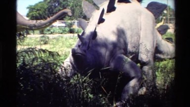 1980: take a walk with the dinosaurs WESTERN USA