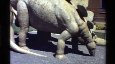 1980: Glad They Are Not Real But They Were Millions of Years Ago Western USA