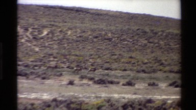 1980: follow me, i know where i am going. WESTERN USA