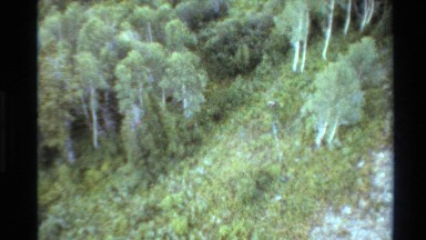 1980: flight about amazonica mata for application of a biodiversity and animal