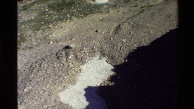 1980: A Rugged Landscape with Sparse Forests Seen from Above Western USA