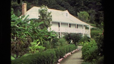 1981: Large White Mansion Surrounded by Greenery in New Zealand