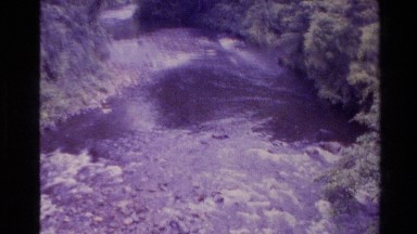 1981: Creation of River from Forest New Zealand