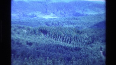 1981: hill forest, view from high peak. NEW ZEALAND