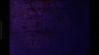 1981: country image around little country, water , long way ,long aerie , pink